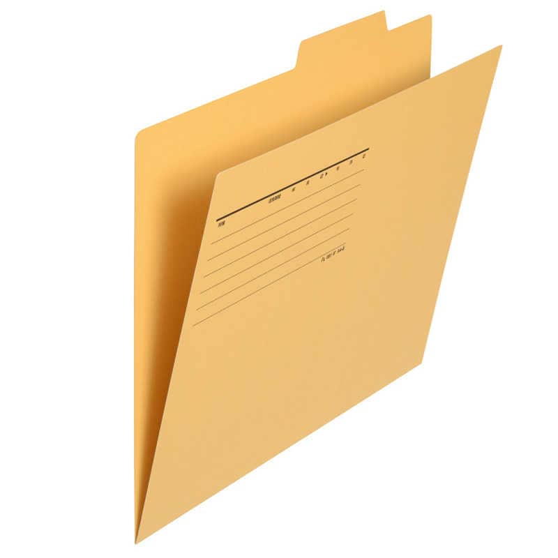 プラス　個別フォルダー 50P A4 YL　FL-082IF