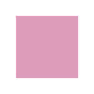 （業務用20セット）ジョインテックス 単色おりがみカーネーション100枚 B260J-37