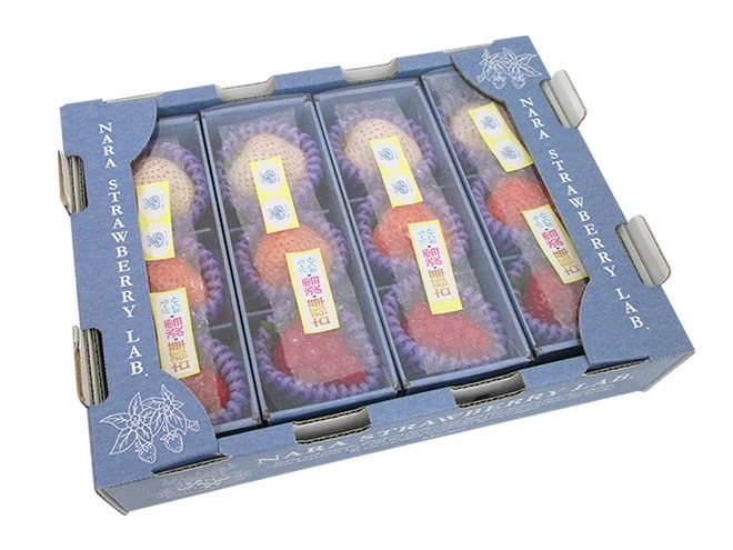 奈良県産 =三色いちごセット= 4箱（1箱あたり3粒入り） 古都華/淡雪/パールホワイト 予約 2月以降