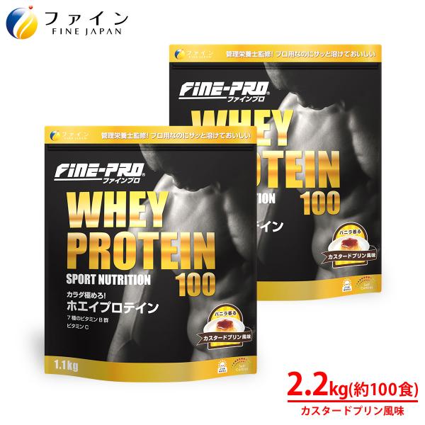 プロ ホエイプロテイン 100 カスタードプリン風味 (1.1kg) 2個セット プロテイン ビタミンA B1 B2 B6 B12 C D E ナイアシン パン
