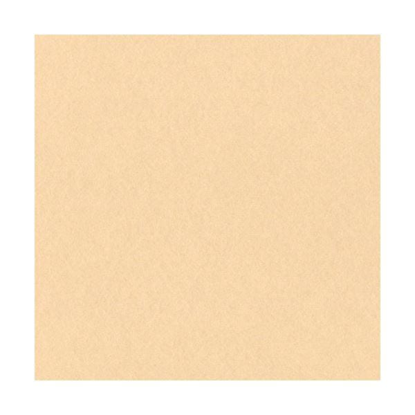 （まとめ）リンテック ニューカラーR 四つ切 しらちゃ 4NCR-111 100枚[x5]