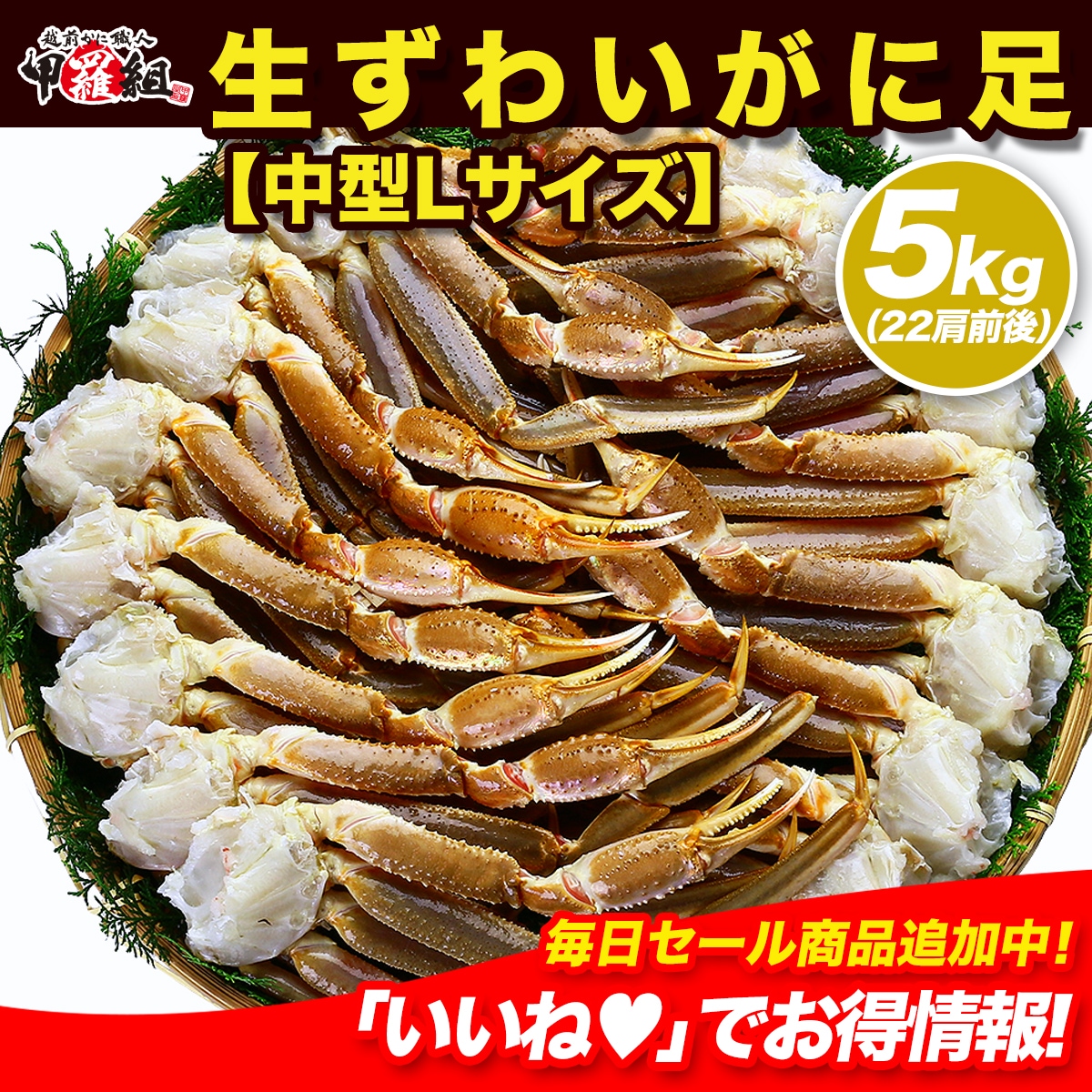 【業務用/産地箱】ロシア（マガダン）産船内凍結の一級品！ 生ずわいがに足 5kg 中型Lサイズ （約22肩入り）