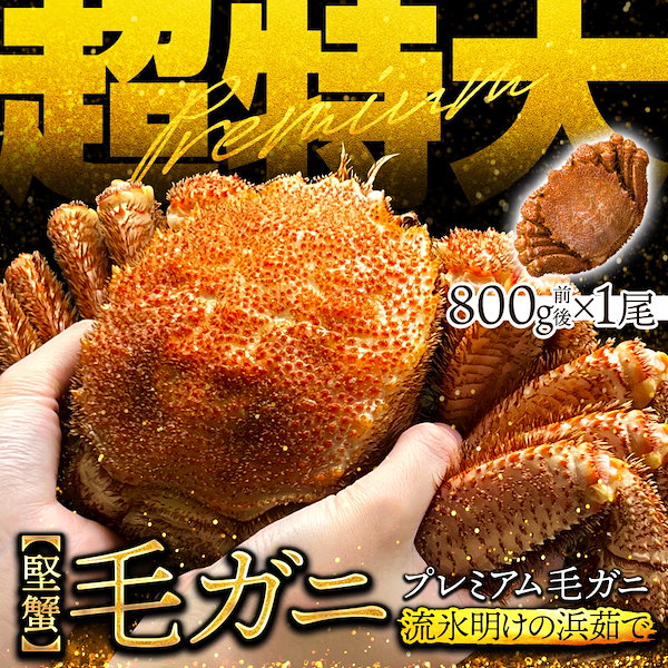 毛ガニ 北海道産 約570g×2尾入り ボイル済 送料無料 ギフト 毛がに 見よう