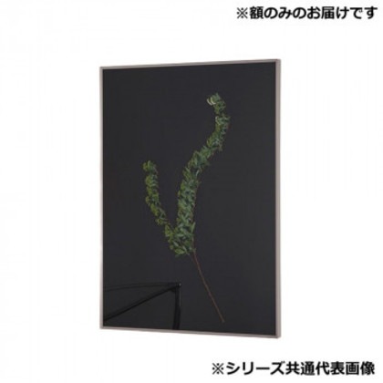 アルナ 額縁 シンプル ALUMIUM RIM マットシルバー 300角 16702