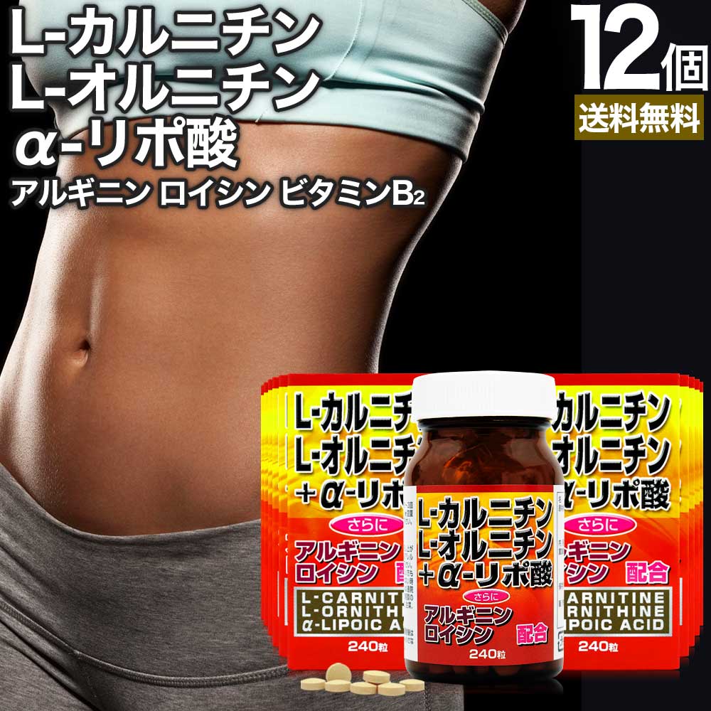 L-カルニチン＋α-リポ酸 240粒*12個 約360日分 カルニチン lカルニチン エルカルニチン リポ酸 サプリメント サプリ