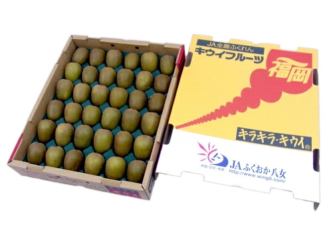 福岡/静岡産他 =レインボーレッドキウイ= 秀品 30-40玉前後 約3kg 予約 10月以降