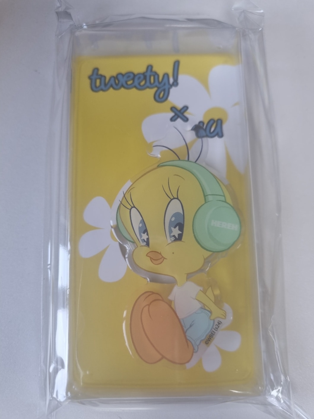 IU X TWEETY 2024 IU WORLD TOUR CONCERT ENCORE : THE WINNING Official MD TOK