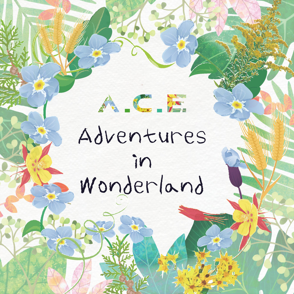 A.C.E ミニ1集 (Repackage) Album [ADVENTURES IN WONDERLAND] Ver. DAY 未開封