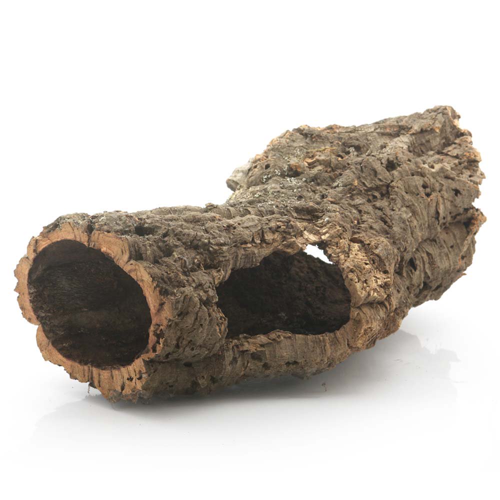 形状お任せ　筒型コルク　Ｌサイズ　長さ５０ｃｍ　蘭　エアプランツ　着生植物　爬虫類　ＣＲＣ90―03―05―60―00