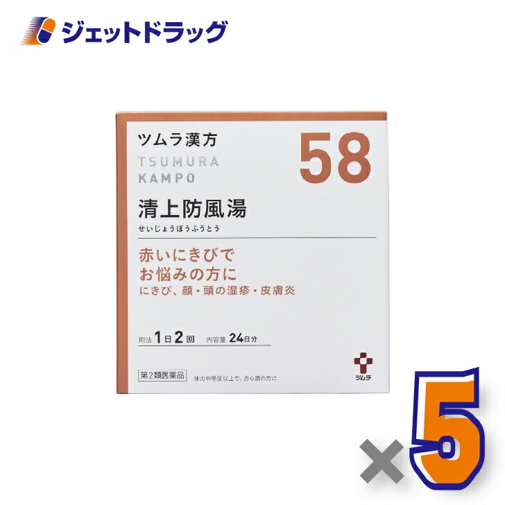 【第2類医薬品】ツムラ漢方清上防風湯エキス顆粒 48包 ×5個（にきび・皮膚炎・かゆみ）