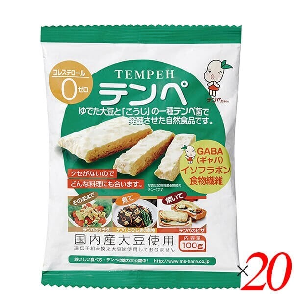 テンペ（レトルト）100g 20個セット マルシン食品 国産 大豆ミート 大豆肉