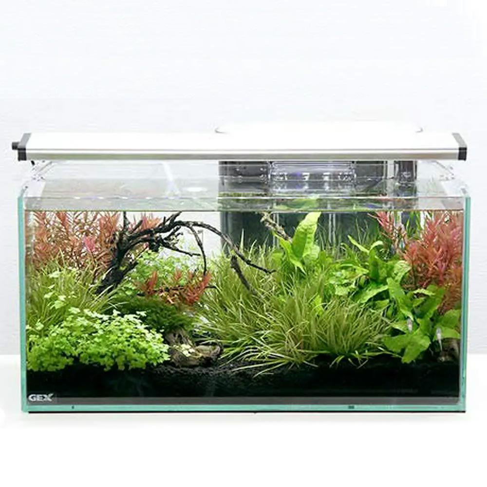 （水草）ＧＥＸ　グラステリア　スリム４５０水槽レイアウト　フルセットＥ　本州四国限定　おまけ付き　ＣＲＣ10―11―03―10―40