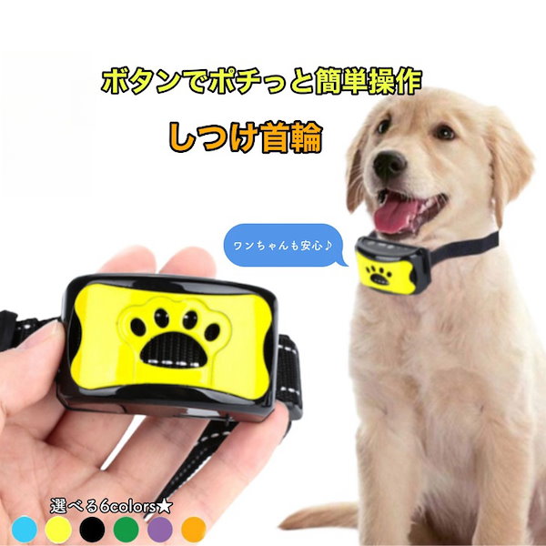 ワンブル 犬 しつけ（Wanbull ワンブル しつけ用首輪 ブラック