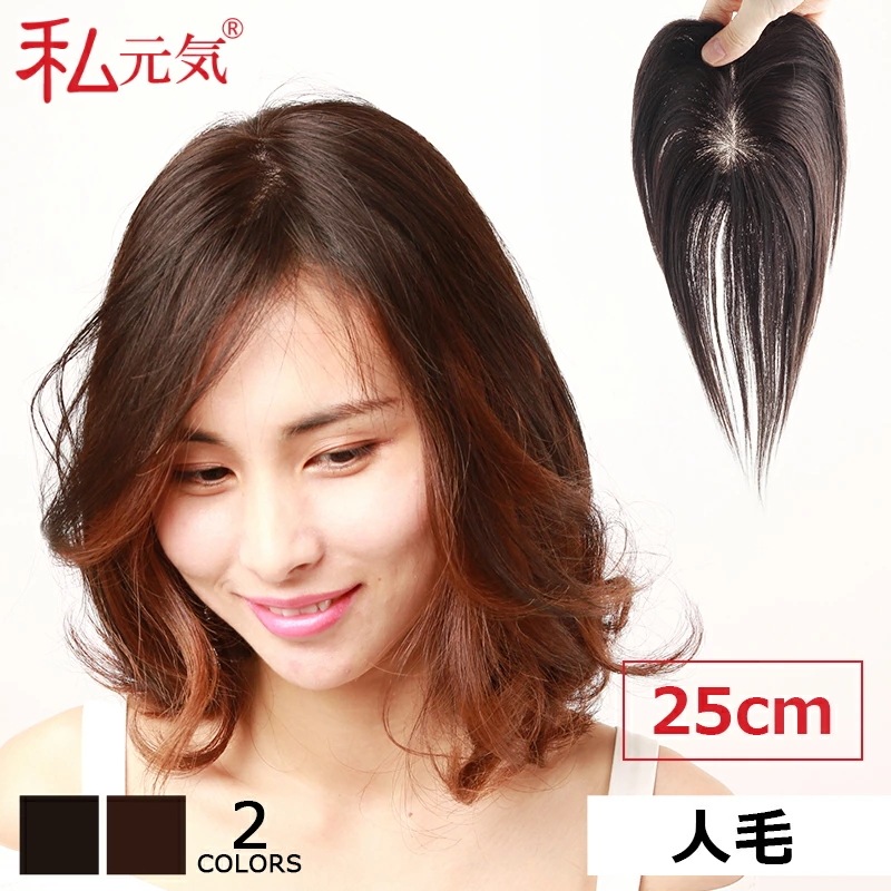 人毛 部分ウィッグ【25cm】部分ウィッグ 人毛 ウィッグ かつら ポイントウィッグ 白髪かくし つけ毛 トップカバー 女性 レディース つむじ付き 自然 ナチュラル