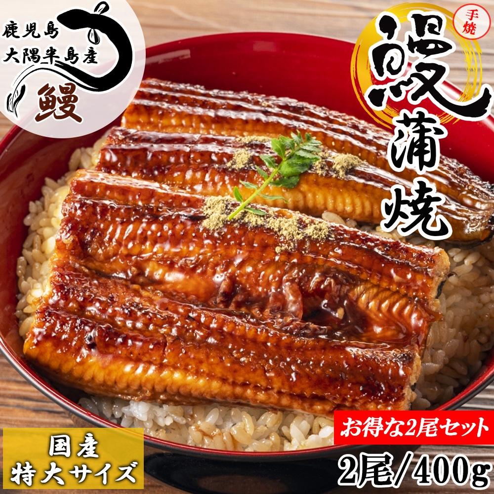 うなぎ 国産 うなぎ蒲焼 特大 2尾 400g 手焼き 蒲焼 タレ付き 国産うなぎ うなぎ ウナギ 鰻 土用丑 丑の日 お中元 お歳暮 ギフト お取り寄せ 鹿児島県産 国産 FND-ff0023