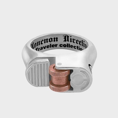 幸福のサボテン 生命エネルギー 佐藤正二朗作 油彩画 かわいいサボテン