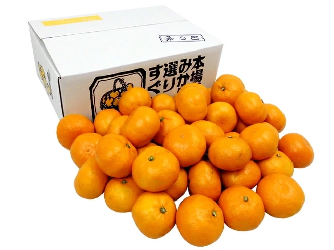 =和歌山 有田産 鉢内みかん= 秀品 L-2Lサイズ 約5kg はちうちみかん 予約 11月末以降 4,550円