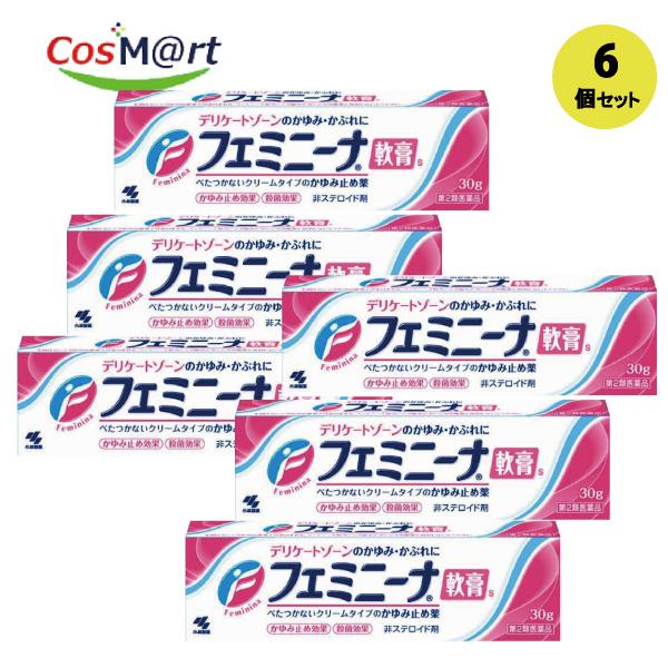 【6個セット】 【第2類医薬品】 【小林製薬】フェミニーナ軟膏Ｓ30ｇ (4987072007921-6) 7,403円