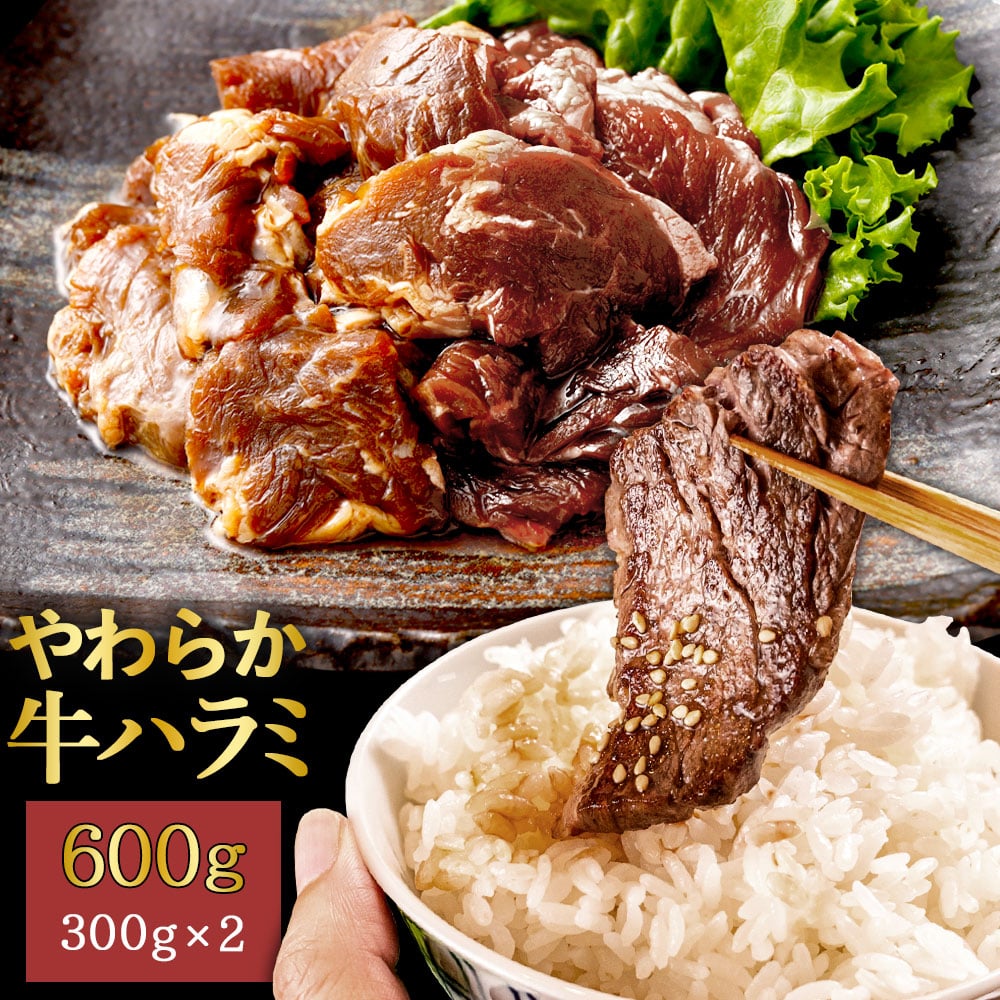 やわらか牛ハラミ（サガリ）肉 極旨秘伝醤油タレ漬け 300g×2袋 鹿児島県 牛ハラミ サガリ ジューシー 秘伝 タレ漬け 小分け お弁当 バーベキュー アウトドア