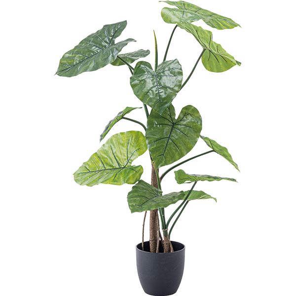 フェイクグリーン 観葉植物 クワイズモ 約幅57x奥行57x高さ117cm リビング 店舗 ショップ インテリア雑貨