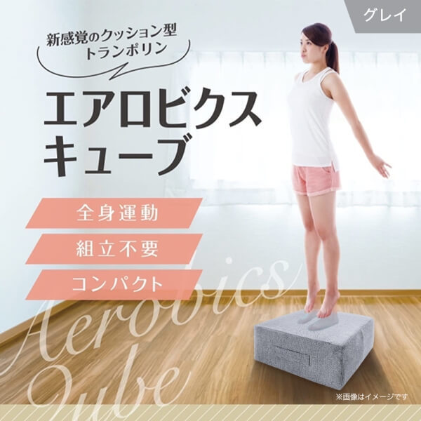 ダイコウ エアロビクスキューブ グレイ メーカー直送フィットネス器具