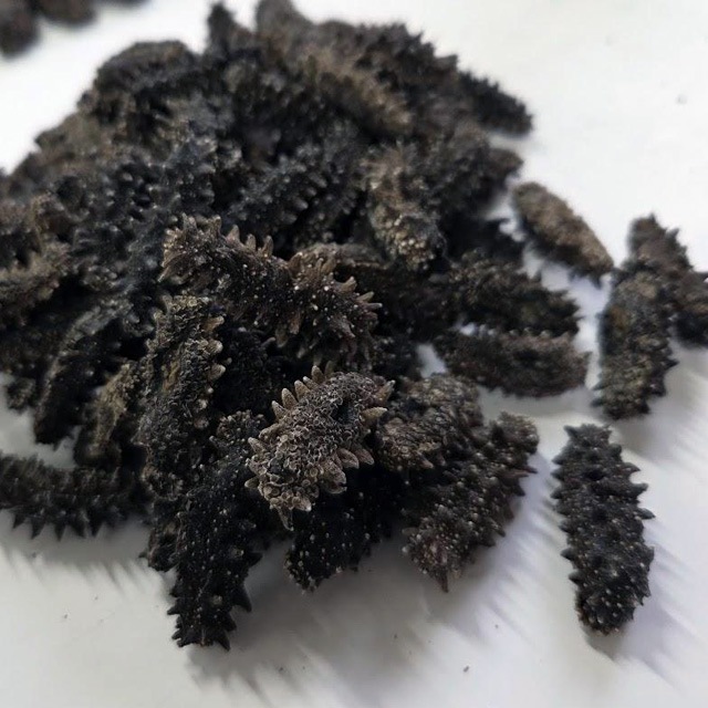 北海道産 天然乾燥ナマコ【特撰A級品】SSサイズ300g（約100-165個入）北海黒ダイヤ