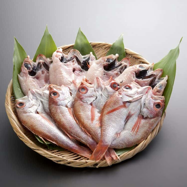 山口 のどぐろ開き干し 8尾セット 離島は配送不可 4130005 お歳暮 お中元 お土産 ご進物 ギフト 贈り物に最適