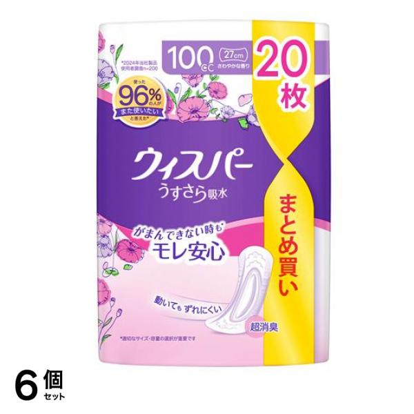 うすさら吸水 尿ケアパッド 100cc 27cm さわやかな香り 20枚入 6個セット