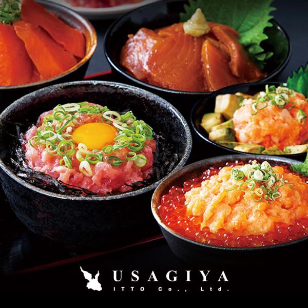 海鮮丼セット 海鮮丼の素 海鮮丼の具 冷凍 海鮮丼 海鮮丼のたれ 鉄火丼 マグロ丼 ネギトロ サーモンねぎとろ トロサーモン イカサーモン