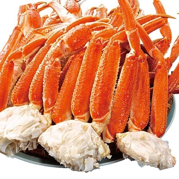3.6kg 特特大ズワイガニ肩付き脚（ボイル済） ずわい蟹 ズワイ肩付き脚 海鮮
