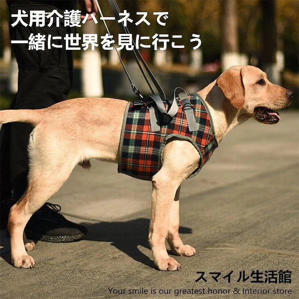 大型 犬 介護 人気 ハーネス