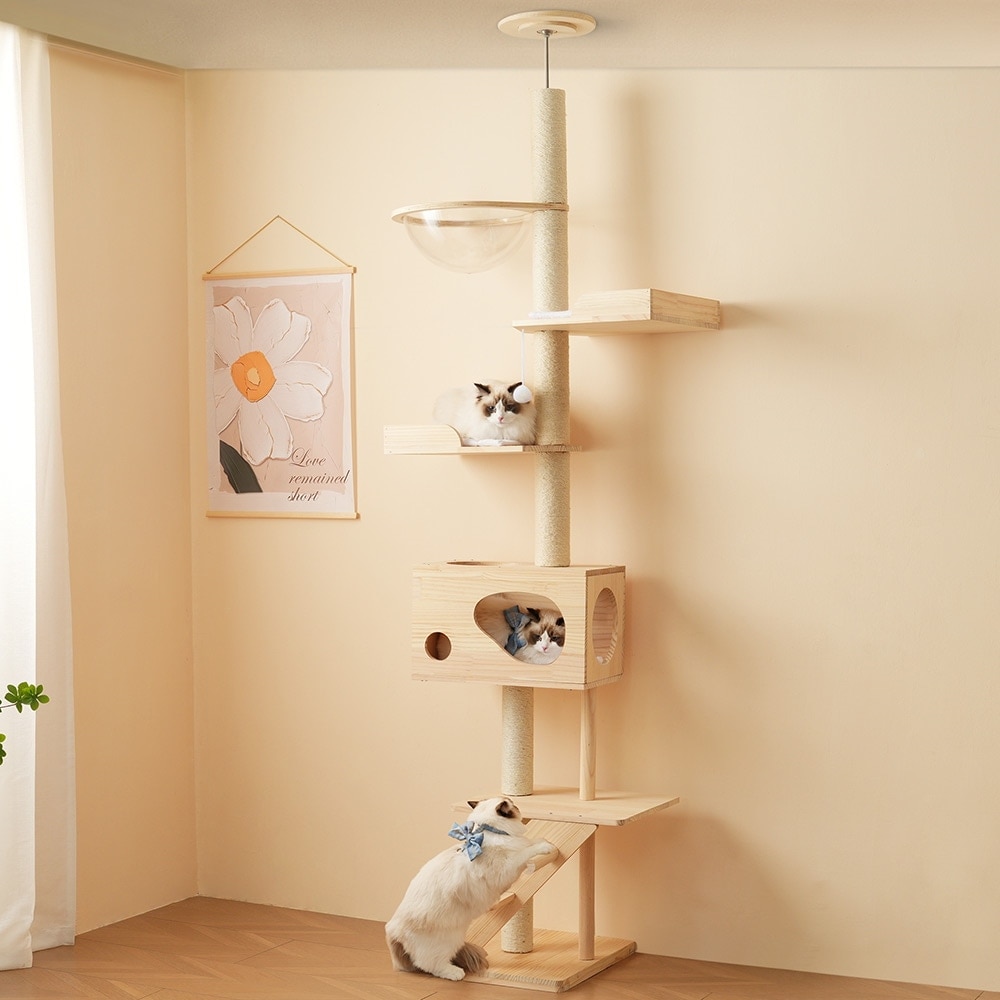 【国内即日発送】キャットタワー 猫タワー キャットツリー スリム 突っ張り 高さ260cm 木登りタワー ネコタワー 宇宙船付き 上り下りしやすい 爪とぎポール 木製 可愛い 子猫 大型猫 マット付き