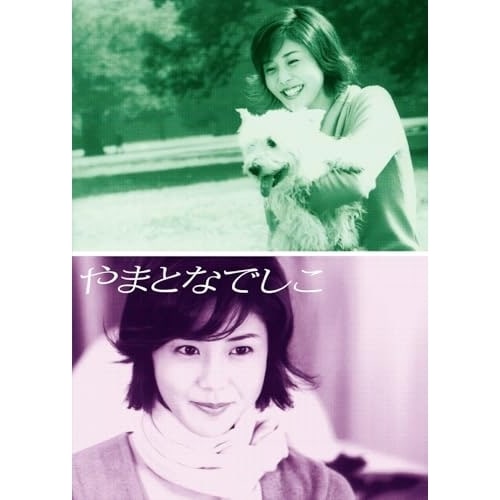 DVD / 国内TVドラマ / やまとなでしこ DVD-BOX