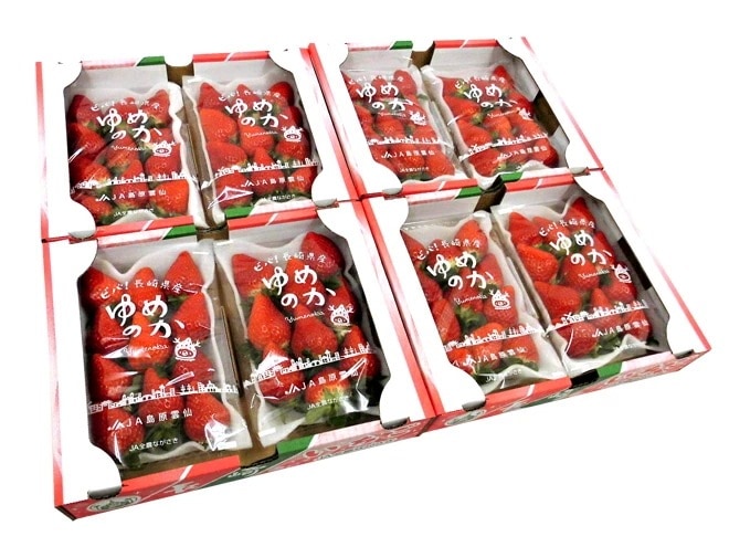 長崎産イチゴ =ゆめのかいちご= 約600gx4箱（1箱あたり約300gx2pc） 予約 1月以降