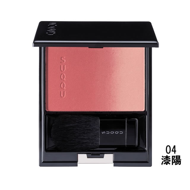 エキップ ピュア カラー ブラッシュ 04 漆陽 7.5g