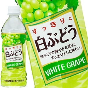 サンガリア すっきりと白ぶどう 500mlPET48本［24本2箱］［賞味期限:4ヶ月以上］［送料無料］58営業日以内に出荷