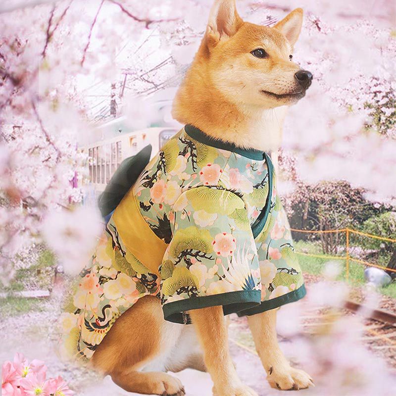 柴犬犬服薄い春と夏の着物日本の子犬子犬服春と秋のコーギ犬夏祭り 母の日-0009941