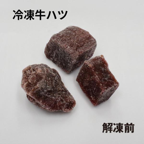 冷凍牛ハツ 500g×6個セット 業務用【クール便発送】ペット用 餌 えさ 心臓 生肉 角切り 大型魚 肉食魚 アロアナ ピラニア 爬虫類