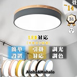 Qoo10] 大光電機 LEDシーリングファン 10畳