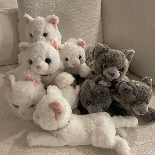 ひざ人形猫(オードアイ/ロシアンブルー Sサイズ