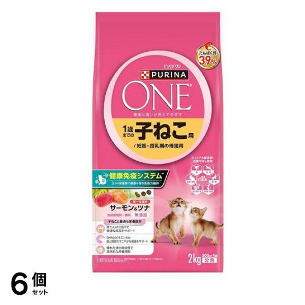 キャット ドライ 1歳までの子ねこ/妊娠・授乳期の母猫用 サーモン&ツナ 2kg 6個セット