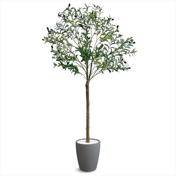 アーバン通商 フェイクグリーン オリーブ 1800mm OLE-180GY グレー メーカー直送