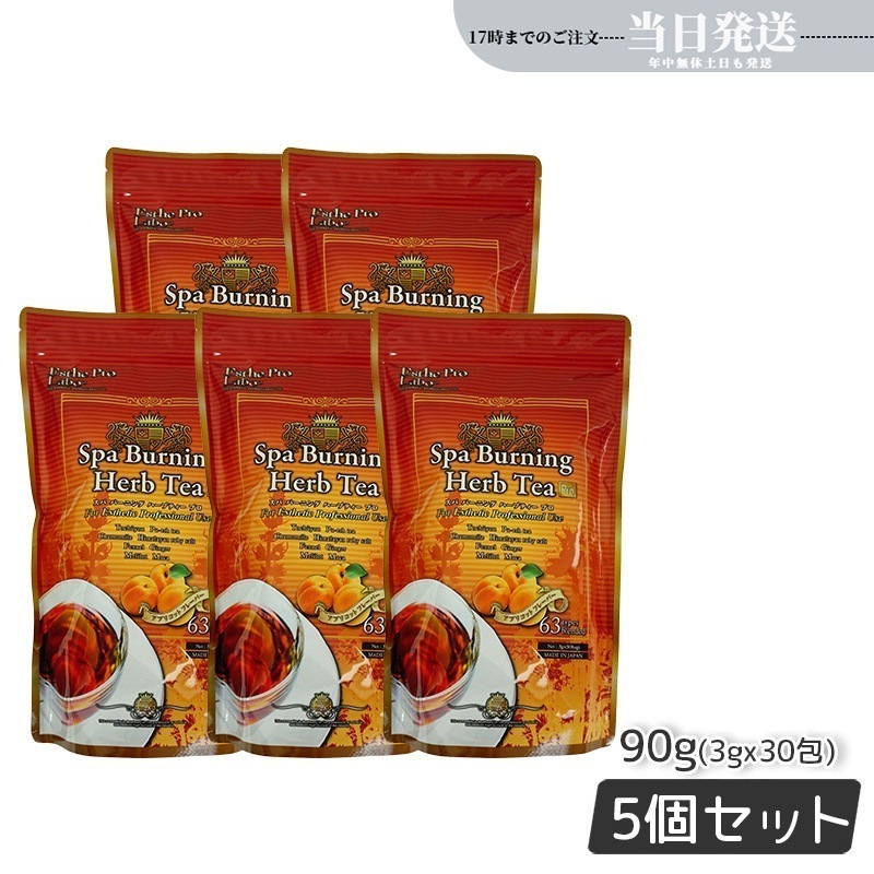 【5個セット】エステプロラボ スパ バーニング ハーブティー プロ 3g×30 日本製 Esthe Pro Labo ハーブティ ダイエット スッキリ 天然素材 おいしい オーガニック 代謝系