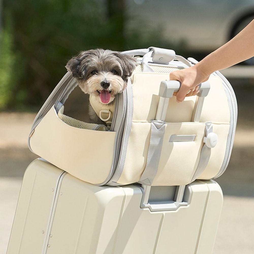 フライバック(犬猫用キャリーバッグ)