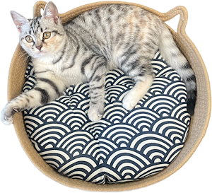 ペットベッド猫ベッド犬ベッド通年用犬猫用猫 爪研ぎ可愛い洗える和式手編みふわふわクッション付き天然素材
