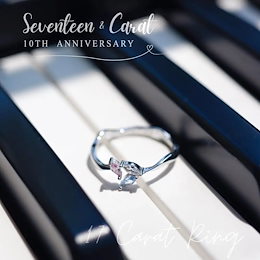 Qoo10 | SEVENTEEN-10周年のおすすめ商品リスト(ランキング順