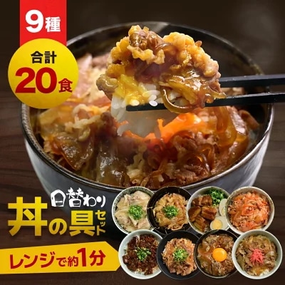 丼の具9種 合計20食セット