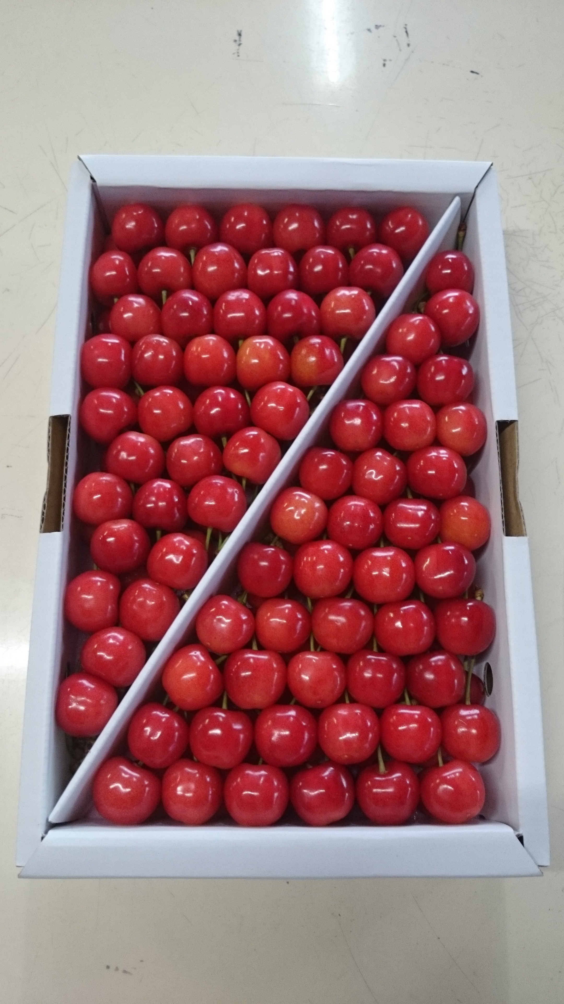 さくらんぼ　佐藤錦　山形県産　贈答用　自家農園栽培　１kg　Lサイズ 7,920円