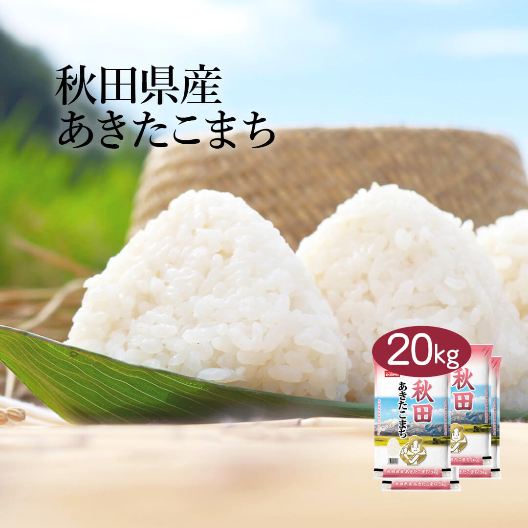 米 秋田県産 あきたこまち 20kg 5kg 4セット 令和6年産 お米 こめ 20キロ 安い おこめ 白米 国産 食品 ギフト 引っ越し 挨拶 内祝い お歳暮 送料無料 おくさま印