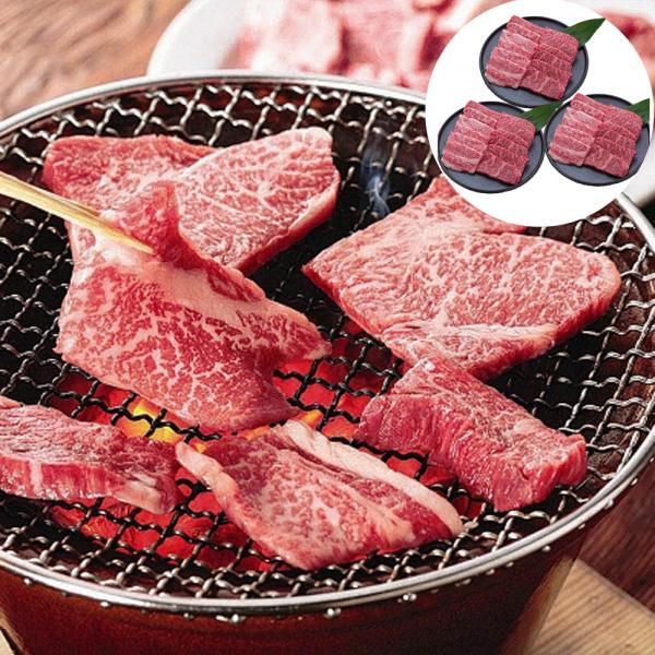長野 信州プレミアム牛肉焼肉 モモ バラ 600g SISK